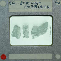A clear plastic screen with three small rock samples on it, placed over a label that reads "SC. String Imprints".