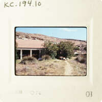 A photograph depicting a rural landscape with a house, trees, and a dirt road.