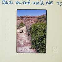 A photograph of a stone path leading to a mountainous landscape with greenery on either side.