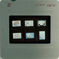 A slide of multiple slides of painted wall plaster fragments