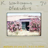 Slide of a house with pink flowers, labeled "Workrooms Oleanders" on frame.