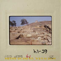 This is an old photograph showing ruins on a hillside with trees and clear sky.