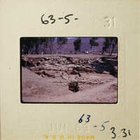 Ancient ruins with stone structures and vegetation, photographed on film.