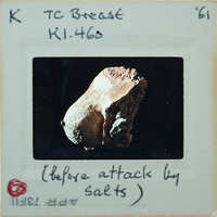 Terracotta breast fragment from side K1.460.