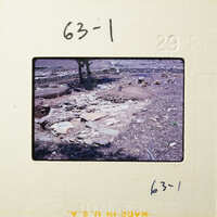 Old stone ruins with tree and dirt ground.