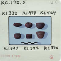 A collection of rocks with labels and measurements on a paper background.