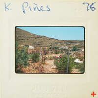 A vintage photograph of a rocky hillside with sparse vegetation, enclosed by a fence.