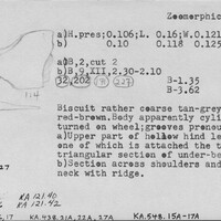 Index card with typed and handwritten information, sometimes including a sketch, of pottery from an excavation.