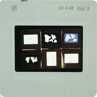 A close-up image of a film strip with multiple exposures, showing various images 