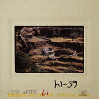 Aerial view of an agricultural landscape with terraced fields and a river.