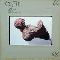 A small, dark-colored fossilized bone on a white surface.