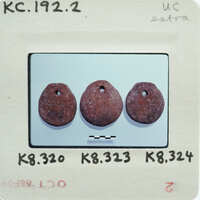 Three small, round objects with a hole through the center, possibly beads or buttons, displayed on a white surface with labels and numbers indicating they are part of an inventory or collection.