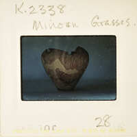 A heart-shaped object with a rough texture, possibly a seed or nut, on a white surface.