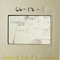 The photograph depicts a scene with a dog, possibly taken during a vacation.